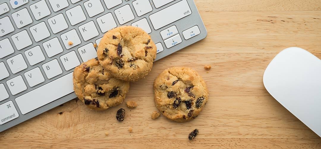 Brush the biscuit crumbs off your keyboard and contact Make Words Work for SEO copywriting.